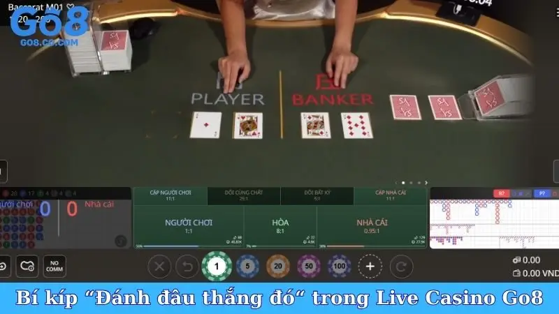 Bí kíp “Đánh đâu thắng đó“ trong Live Casino Go8