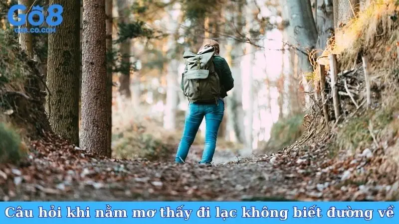 Câu hỏi khi nằm mơ thấy đi lạc không biết đường về