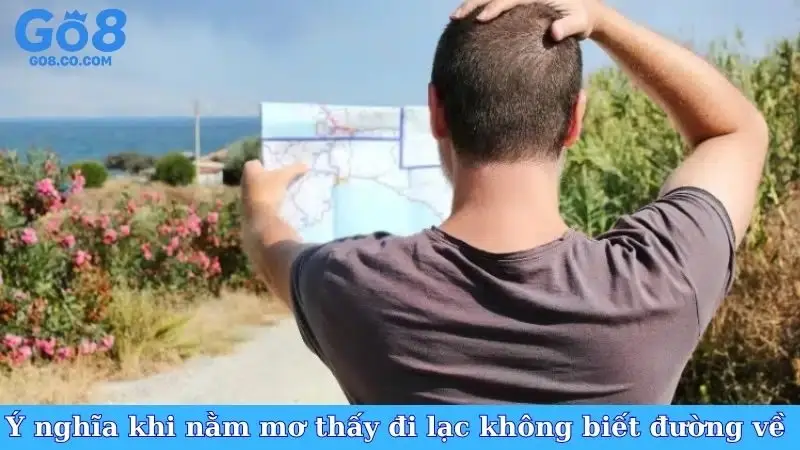 Ý nghĩa khi nằm mơ thấy đi lạc không biết đường về